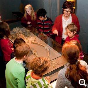 Bei einer Führung wird über das Skelett erzählt ©Jochen Musebrink