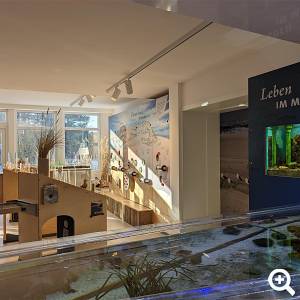Bei einer Führung durch unsere Ausstellung können Schüler*innen live an einer Fütterung der Aquarientiere teilnehmen.